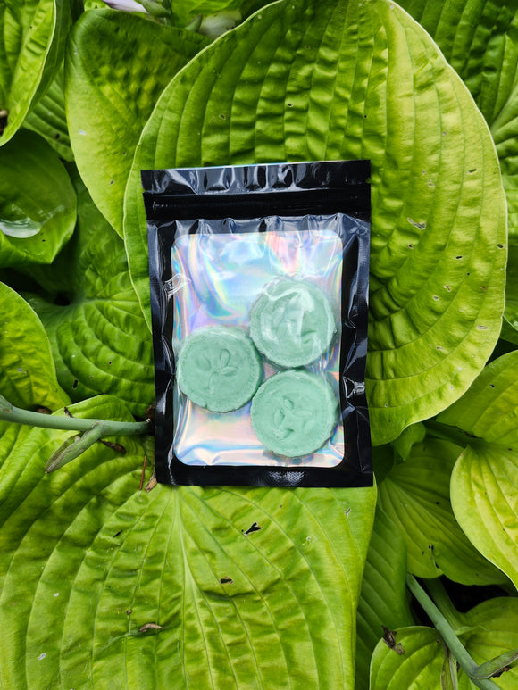 Cucumber & Melon Wax Melt